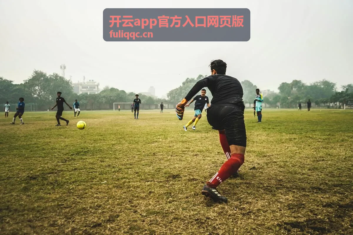 开云app官方入口网页版入口页面示意
